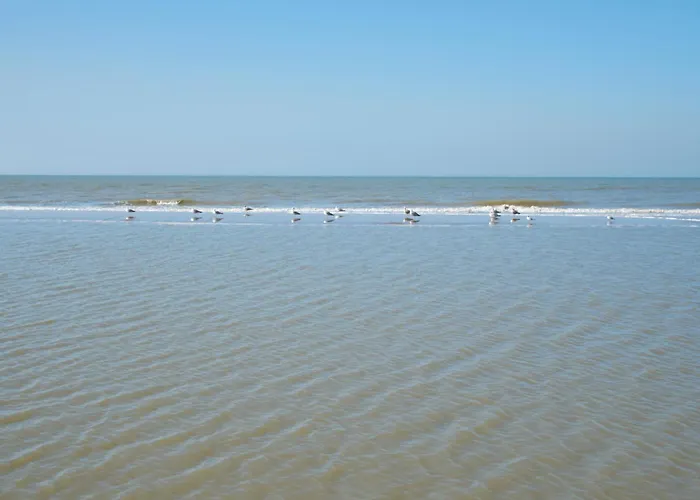 Familie Zwinkels Apartamento