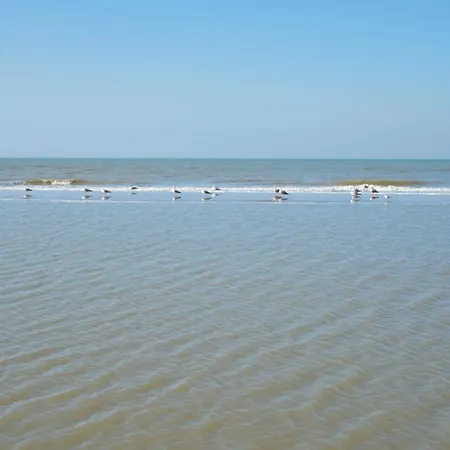 Familie Zwinkels Lejlighed